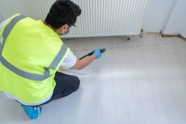 Best Pest Exclusion Services  in Hobart, WA